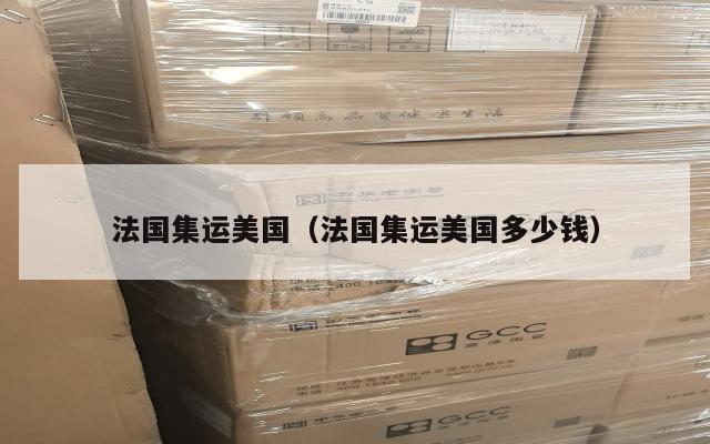 法国集运美国（法国集运美国多少钱）