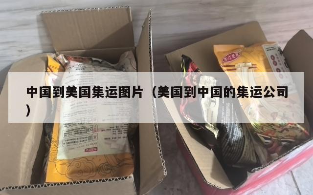 中国到美国集运图片(美国到中国的集运公司)
