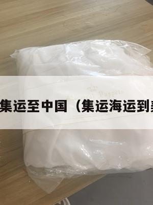 美国集运至中国（集运海运到美国）