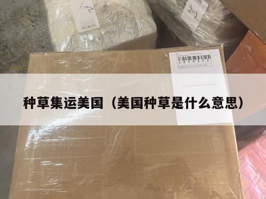 种草集运美国(美国种草是什么意思)