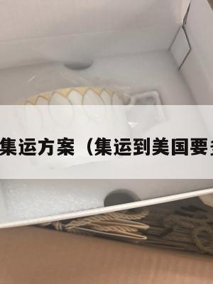 美国集运方案（集运到美国要多久）