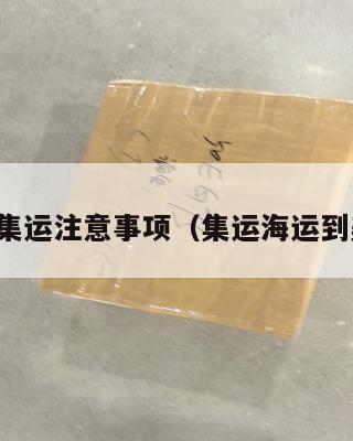 美国集运注意事项(集运海运到美国)