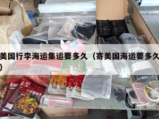 美国行李海运集运要多久（寄美国海运要多久）