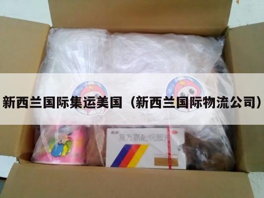 新西兰国际集运美国（新西兰国际物流公司）