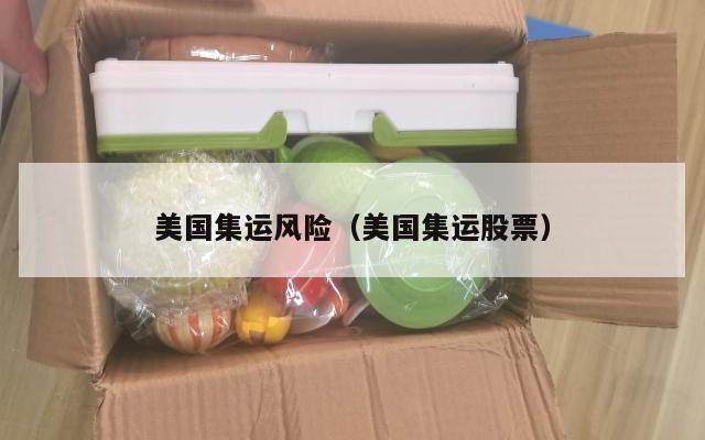 美国集运风险(美国集运股票)