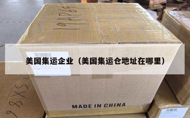 美国集运企业(美国集运仓地址在哪里)