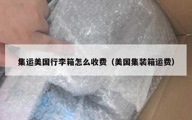 集运美国行李箱怎么收费(美国集装箱运费)