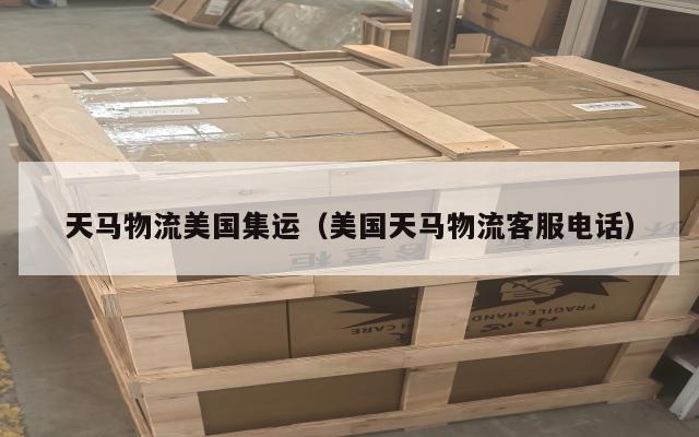 天马物流美国集运(美国天马物流客服电话)
