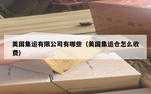 美国集运有限公司有哪些(美国集运仓怎么收费)