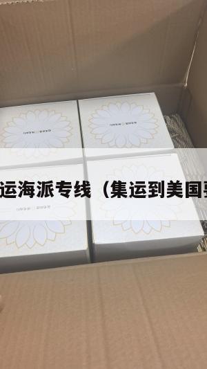 美国集运海派专线(集运到美国要多久)