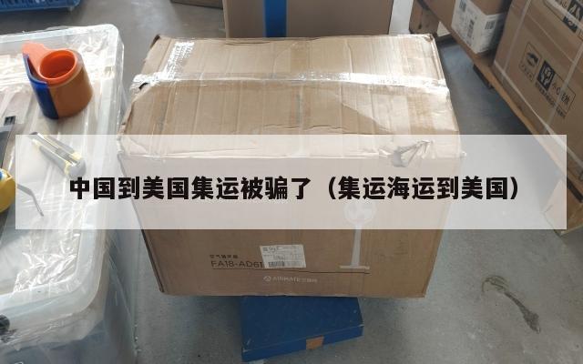 中国到美国集运被骗了（集运海运到美国）