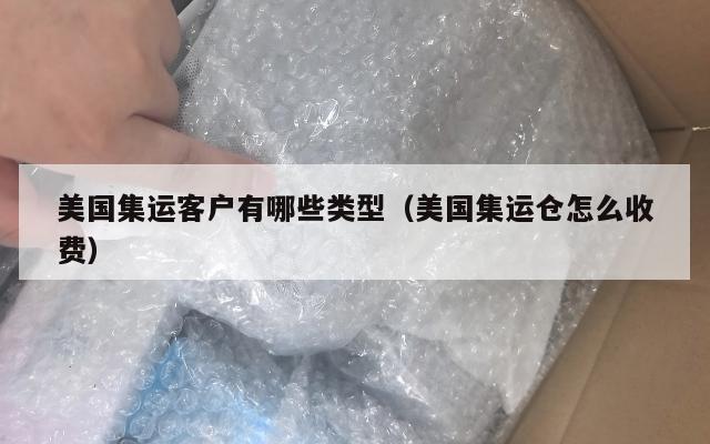 美国集运客户有哪些类型（美国集运仓怎么收费）