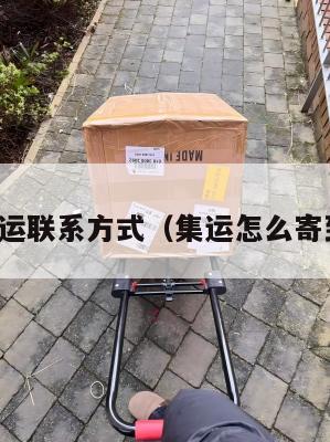 美国集运联系方式(集运怎么寄到美国)