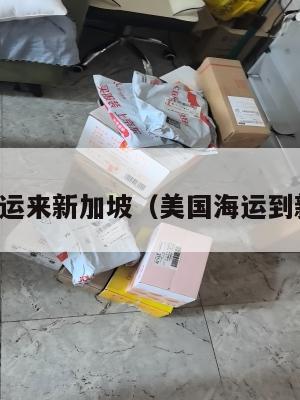 美国集运来新加坡(美国海运到新加坡)