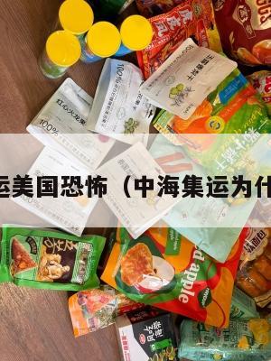 中海集运美国恐怖(中海集运为什么改名)
