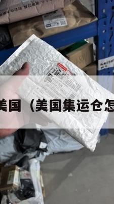 tb集运美国（美国集运仓怎么收费）