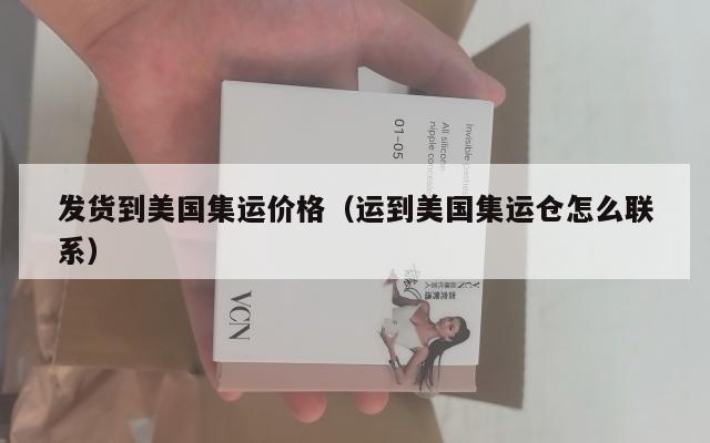 发货到美国集运价格(运到美国集运仓怎么联系)