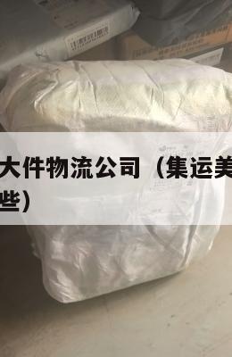 集运美国超大件物流公司(集运美国超大件物流公司有哪些)