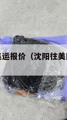 沈阳到美国集运报价(沈阳往美国寄东西用什么快递)