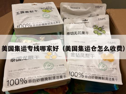 美国集运专线哪家好(美国集运仓怎么收费)