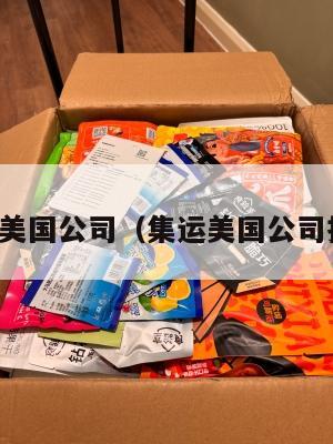 集运美国公司(集运美国公司推荐)
