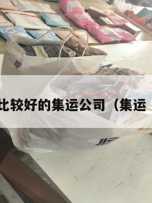 美国比较好的集运公司(集运 美国)