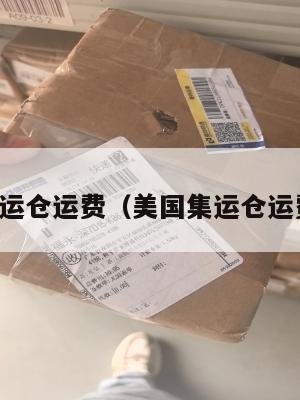 美国集运仓运费(美国集运仓运费多少)