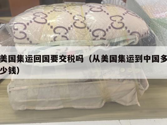 美国集运回国要交税吗(从美国集运到中国多少钱)