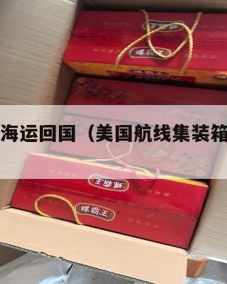 美国集运海运回国(美国航线集装箱海运价格暴涨)