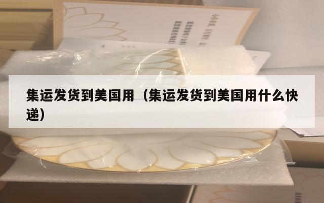 集运发货到美国用(集运发货到美国用什么快递)