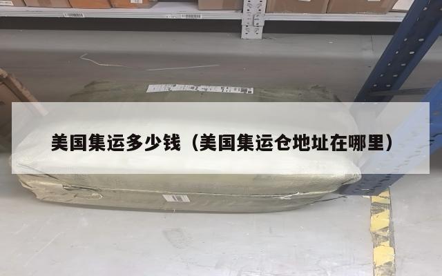 美国集运多少钱（美国集运仓地址在哪里）