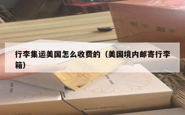 行李集运美国怎么收费的（美国境内邮寄行李箱）