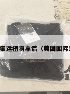 美国货代集运植物靠谱(美国国际海运货代)