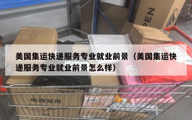 美国集运快递服务专业就业前景(美国集运快递服务专业就业前景怎么样)