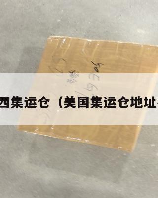 美国美西集运仓(美国集运仓地址在哪里)