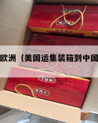 美国集运欧洲(美国运集装箱到中国价格多少)