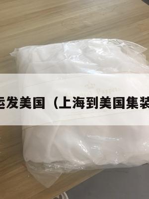 上海集运发美国(上海到美国集装箱运费)