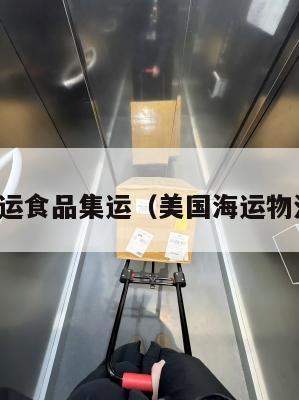 美国海运食品集运(美国海运物流公司)