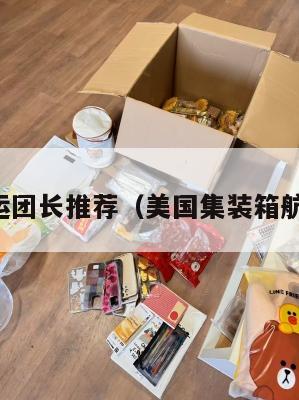 美国集运团长推荐(美国集装箱航运公司)
