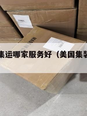 浙江美国集运哪家服务好(美国集装箱海运公司)