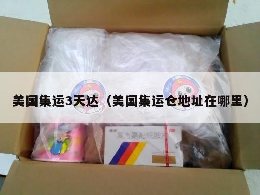美国集运3天达(美国集运仓地址在哪里)