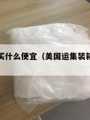 集运美国买什么便宜(美国运集装箱到中国价格多少)