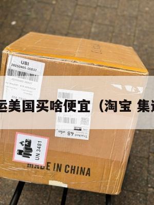 淘宝集运美国买啥便宜(淘宝 集运 美国)