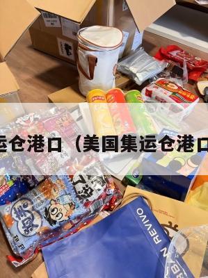 美国集运仓港口(美国集运仓港口在哪里)