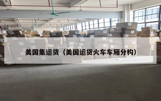 美国集运货(美国运货火车车厢分构)