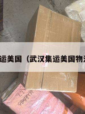 武汉集运美国(武汉集运美国物流中心)