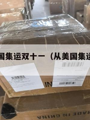 中国到美国集运双十一(从美国集运到中国多少钱)