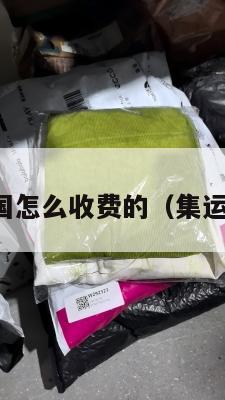 集运仓到美国怎么收费的(集运海运到美国)