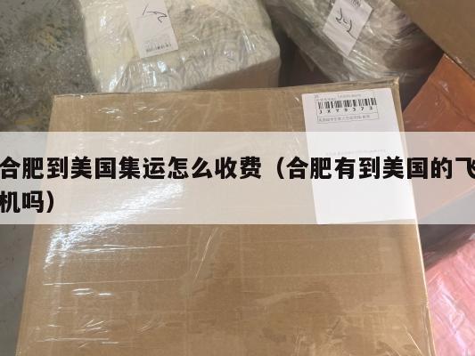 合肥到美国集运怎么收费(合肥有到美国的飞机吗)