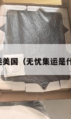无忧集运美国(无忧集运是什么意思)